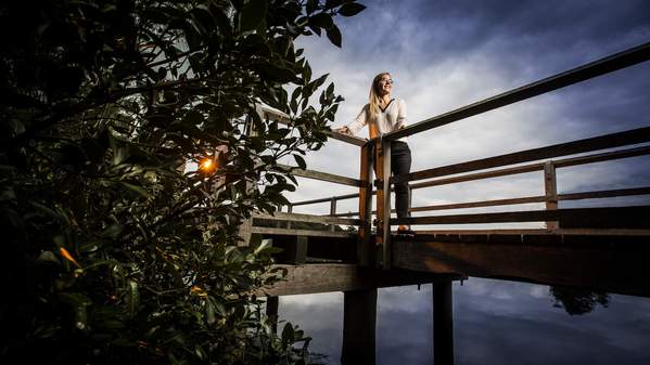 Dr Kerrylee Rogers stands on a boardwalk overlooking mangroves with the sun setting in the background. Photo: Paul Jones